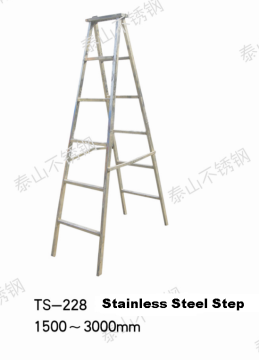 stainless steel step