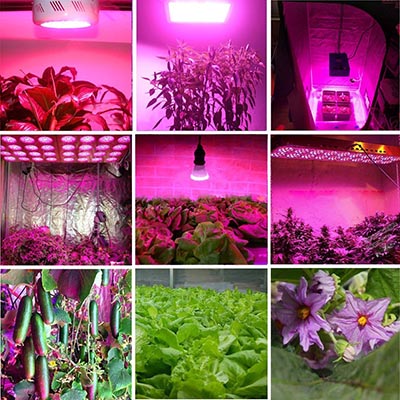 LED Grow Lights for plants