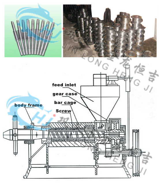 New Screw Peanut Oil Press Machine Sunflower Oil Cold Press Extruder Soybean Oil Presser Sales