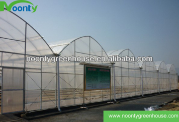 Herb Green houses