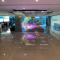 Transparent LED Display for Shopping Mall Advertisement