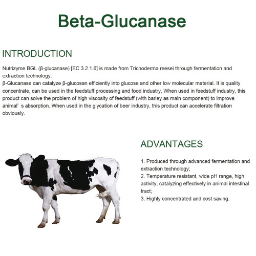 Alimentar enzima beta glucanasa