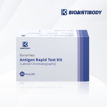 Superior Gonorrhea Antigen Rapid Test Kit