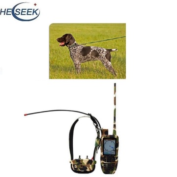 Best GPS Hunting Dog Tracker Collar