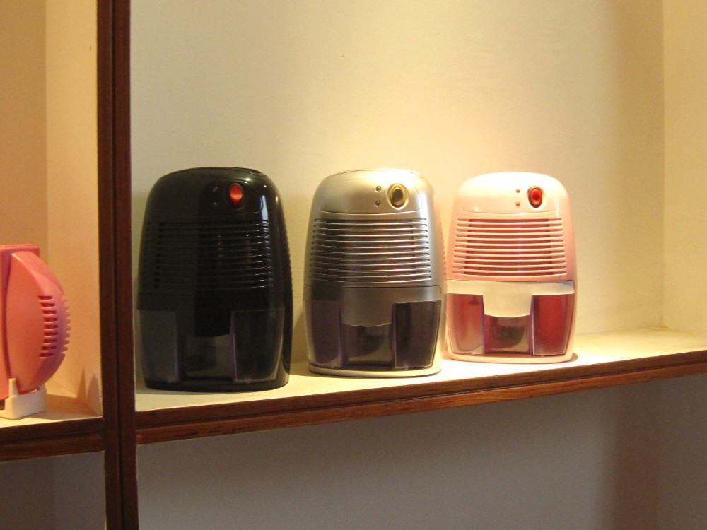 AC/DC No Compressor 500ml Mini Car Dehumidifier