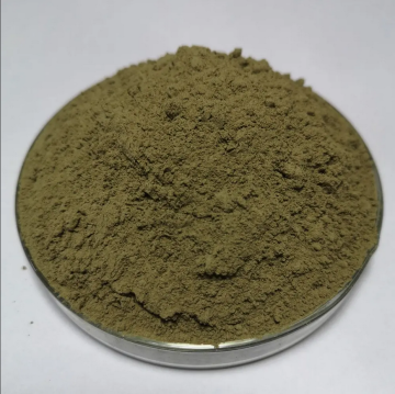 Quality Versatile natural buckwheat extract