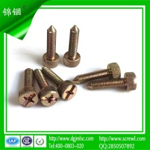 M5 Color Zinc Plating Cheese Head Screw for Installation