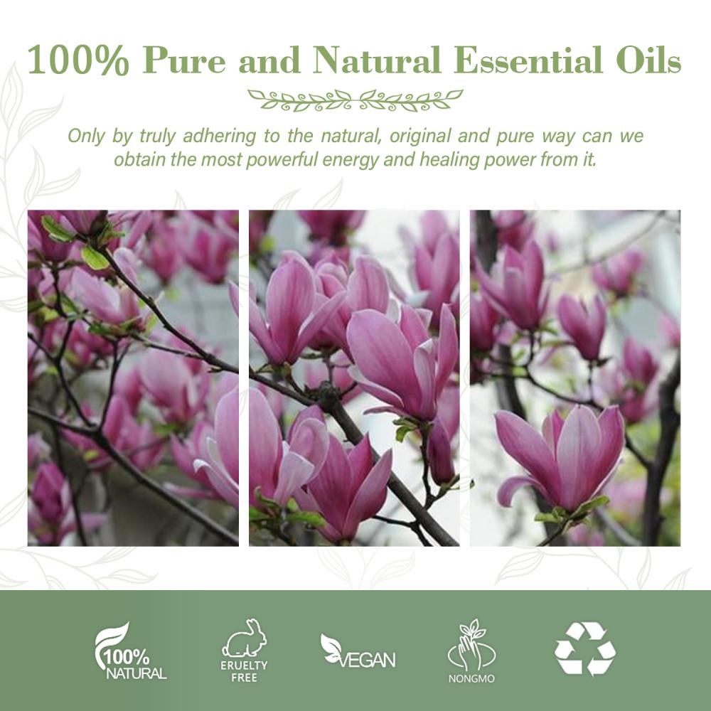 Magnolien Blütenöl 100% reine oganische Pflanze natroale Blume für Diffusor -Massage Hautpflege Schlaf