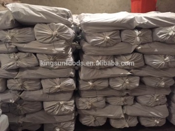 Hot sale Giant squid tentacle