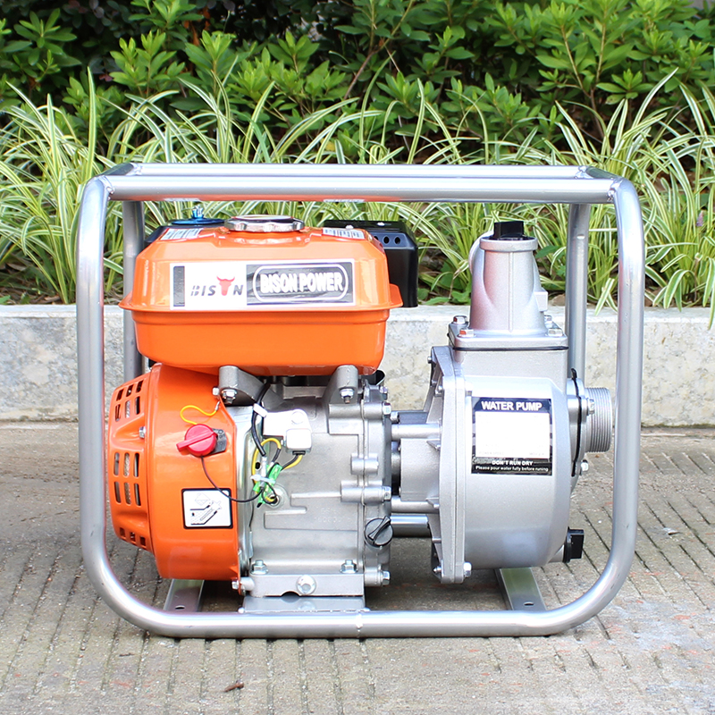 BISON(CHINA) Gasoline Water Pump WP20