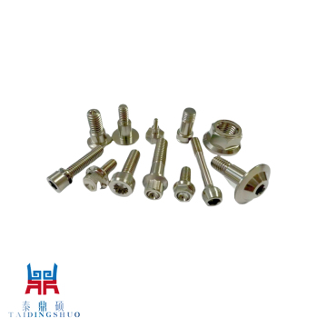 Corrosion Resistant Titanium Screws