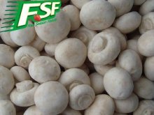 Delicious IQF champignon mushroom