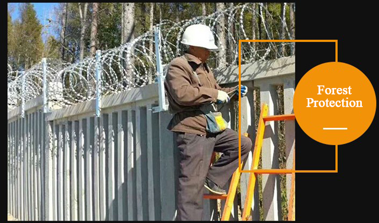 stainless steel/galvanized BTO-15 Razor wire fencing anti climb factory price