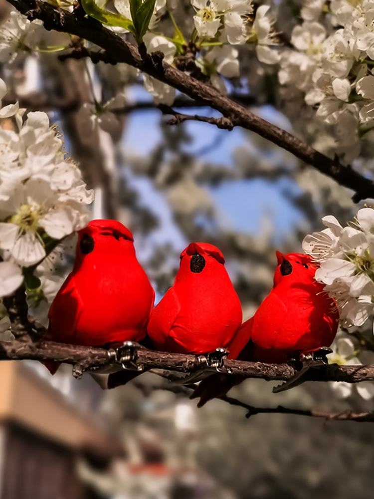 Decorazione di uova di coccinella