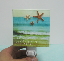 Decorative Plug in Night Lights (SFR1701)