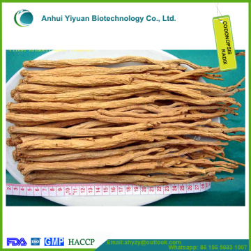 Codonopsis radix and dangshen
