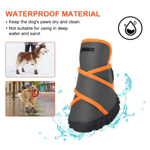Evcil köpek botları su geçirmez