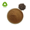 Extracto de frutas de Burdock 20% arctiin polvo 20362-31-6