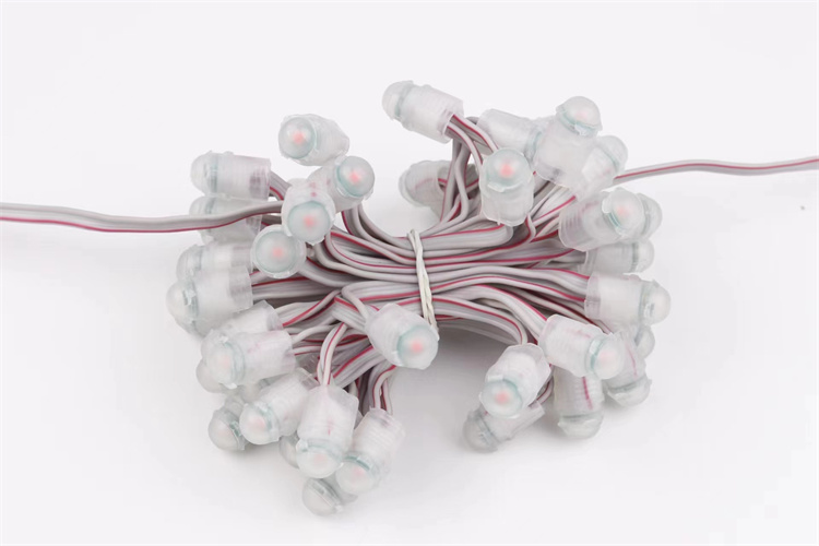 Miracle Bean holiday decoration lights outdoor IP67 12V warm white led pixel smd5050  2P wires led pixel string bulb light