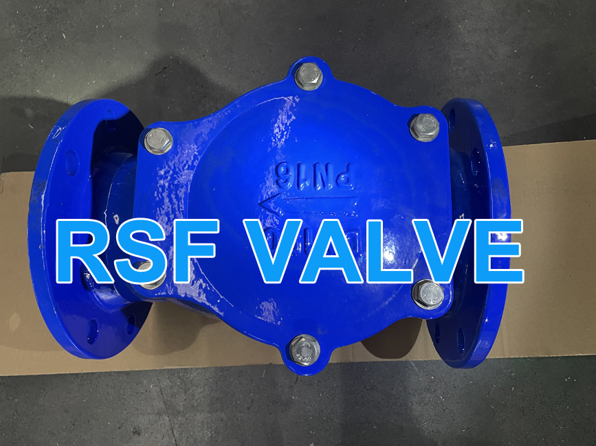 Resilient Swing Check Valve 1 Jpg