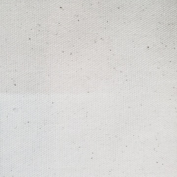 Tecido de forro de pano de algodão pato verde