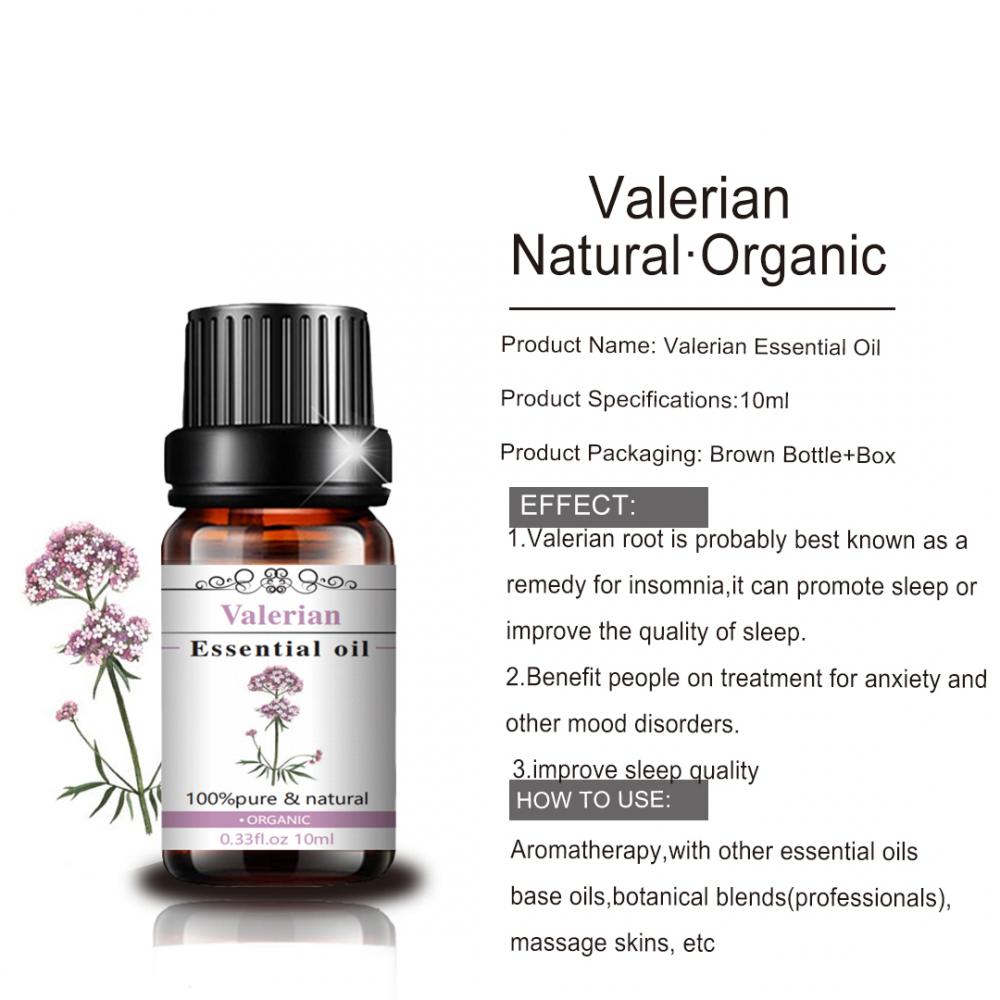 100% Pure Natural Food Grade Valerian Essential Oil Good Price