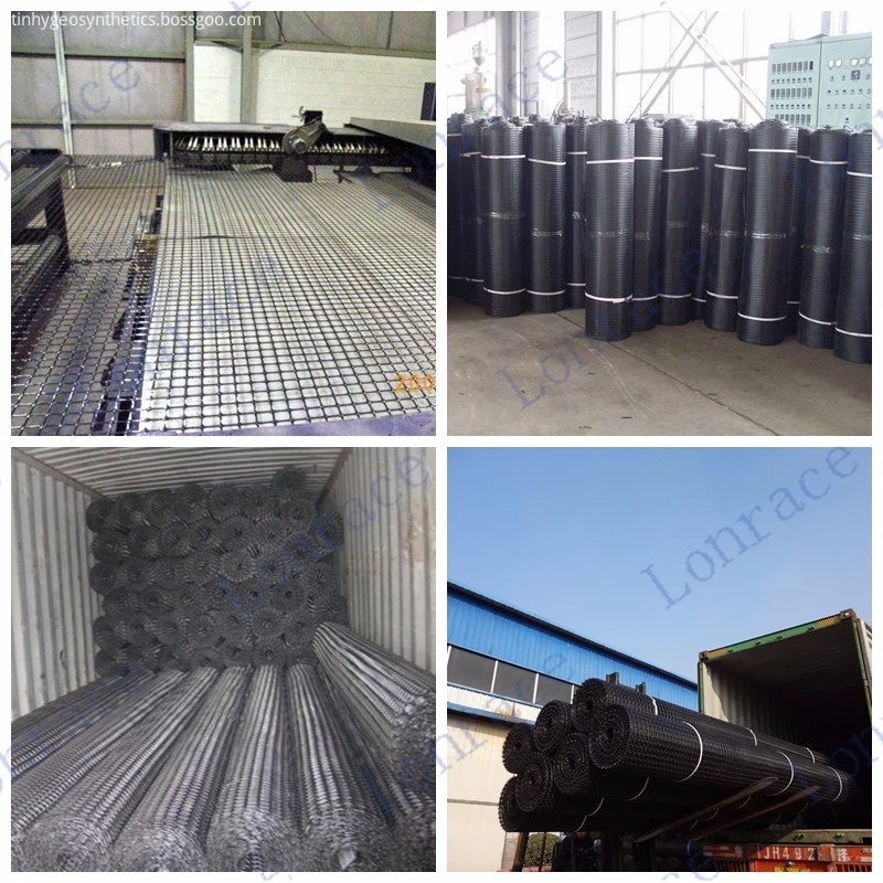 geogrid product