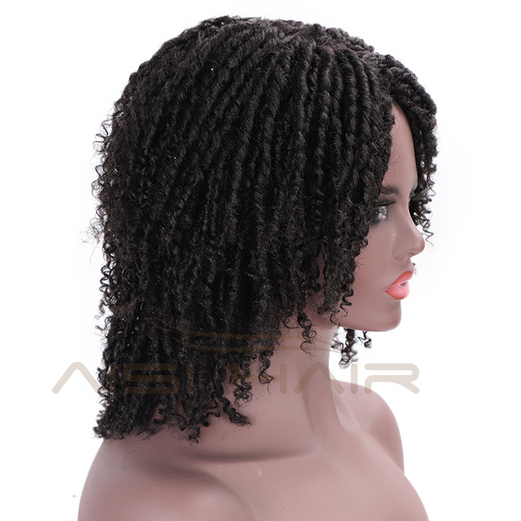 Aisi Hair Synthetic Wigs For Black Women Crochet Braids Twist Faux Locs Braids Hairstyle Long Afro Black Hair for Women