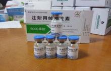 Human Chorionic Gonadotropin for injection , HCG loss weigh