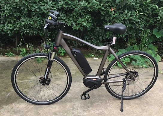 36V 250W 8 Speed Electric Bicycle