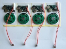Interactive Toy Vocal Module with Sound Recording