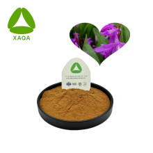 BLTLELATILLA TUBER EXTRACT POWDER 10: 1