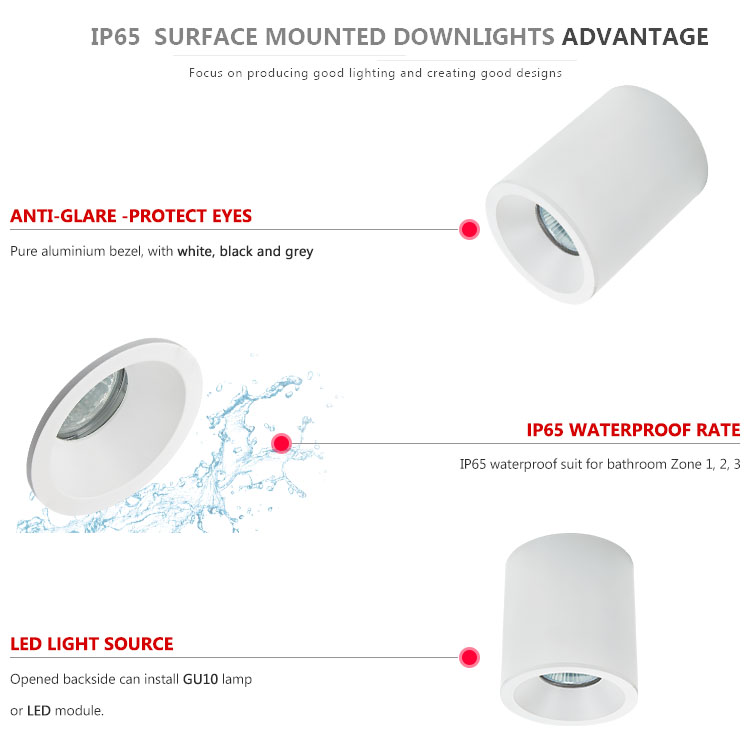 IP65 ceiling waterproof light Fixed Surface mounted downlight