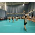 PVC volleybollplan Golvplattor