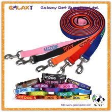 G-A-4198 dog lead and collar set