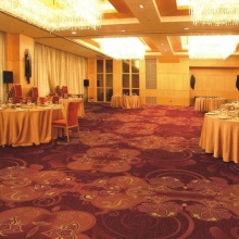 Dance hall carpet, playing room carpet, soft nylon wool material nonslip carpet