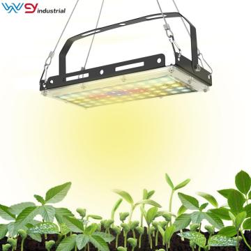 What grow lights do i need for vegetables