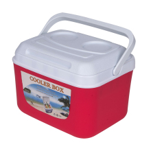Portable Plastic Cool Box for Car, Beer, and Barbecue