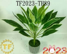 16"ARTIFICAL AGLAONEMA WHITE BUSH