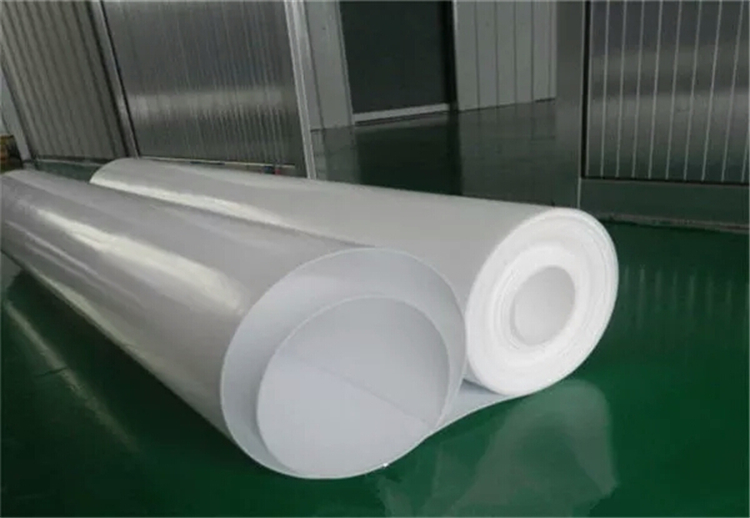 China manufacturer customized ptfe sheet