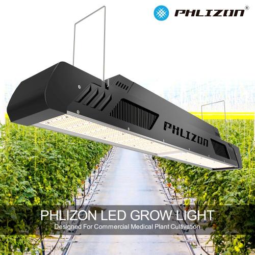 2023 Design mais recente 560W LED Grow Top Ilumping