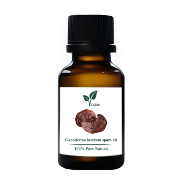 Ganoderma lucidum spore oil bulk