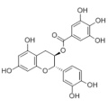 (-)-CATECHIN GALLATE CAS 130405-40-2