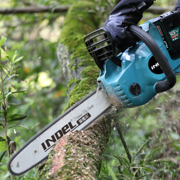 Electric Pruning Saws: Battery Operated Chainsaws and Pole Saws