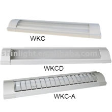 T8 fluorescent light