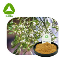 Planta antineoplástica Viscum Álbum Mutetoe Extract Powder