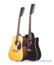 Acoustic Guitar-12 Strings