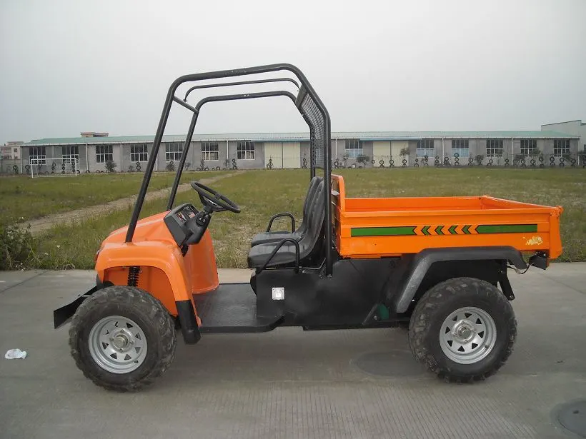 Made in China Electric Buggy UTV with Trailer