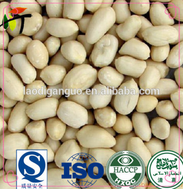 Chinese groundnut blanched peanuts kernel