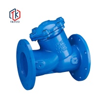 Cast Iron Flange Y Type Strainer Valve Y Strainer
